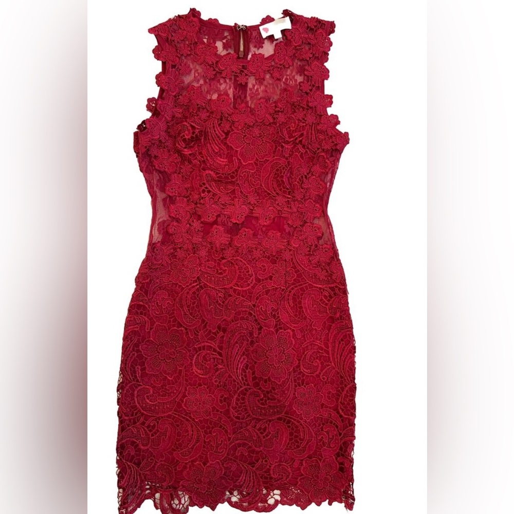 L’atiste by Amy Red Lace Dress